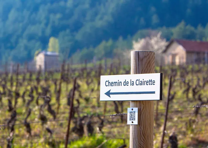 Otel Le Dauphine Châtillon-en-Diois